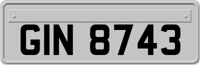GIN8743
