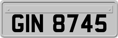 GIN8745