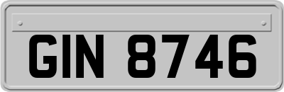 GIN8746