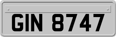 GIN8747