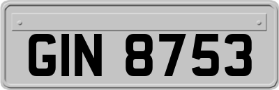 GIN8753