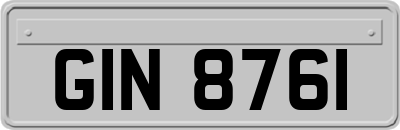 GIN8761
