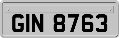 GIN8763