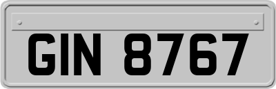GIN8767