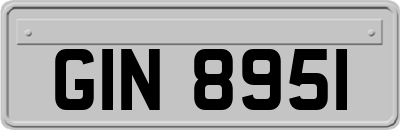 GIN8951