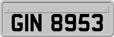 GIN8953