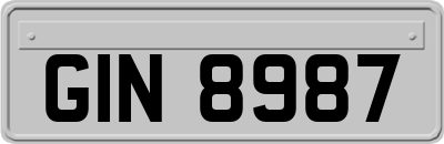 GIN8987