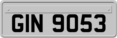 GIN9053