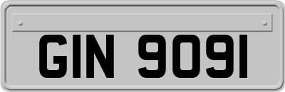 GIN9091