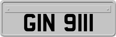 GIN9111