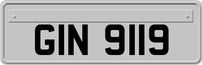GIN9119