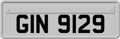 GIN9129