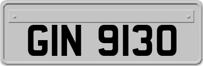 GIN9130