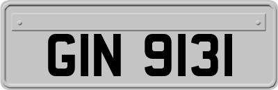GIN9131