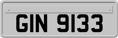 GIN9133