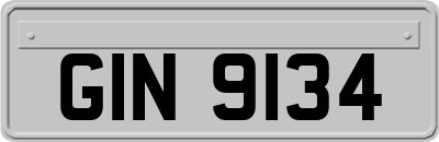 GIN9134