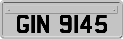 GIN9145