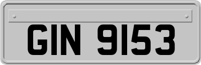 GIN9153