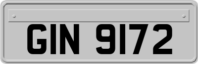 GIN9172