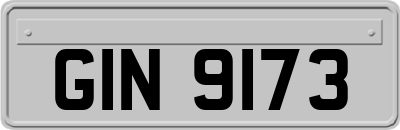 GIN9173