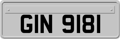 GIN9181