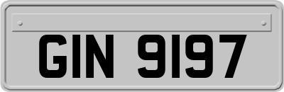 GIN9197