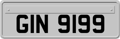 GIN9199