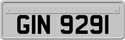 GIN9291