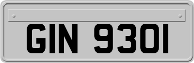 GIN9301