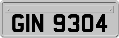 GIN9304