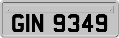 GIN9349
