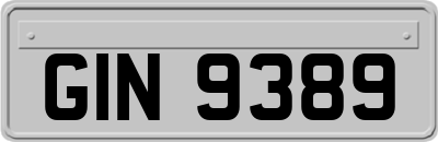 GIN9389