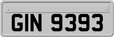 GIN9393