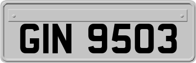 GIN9503
