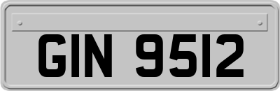 GIN9512