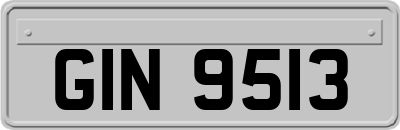 GIN9513