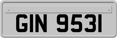 GIN9531