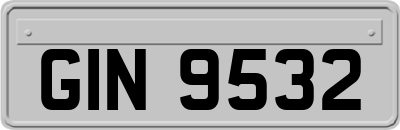 GIN9532