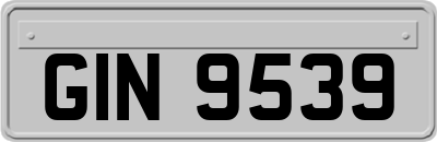 GIN9539