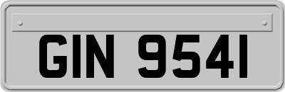 GIN9541