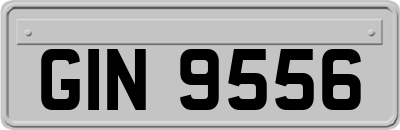 GIN9556