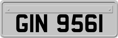 GIN9561