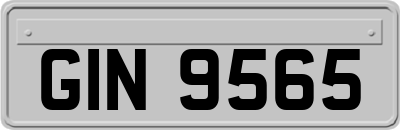 GIN9565