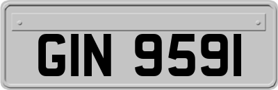 GIN9591