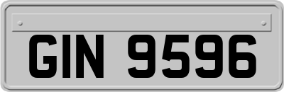 GIN9596