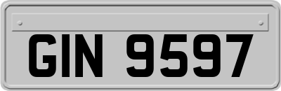 GIN9597