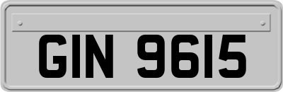 GIN9615