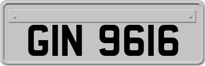 GIN9616