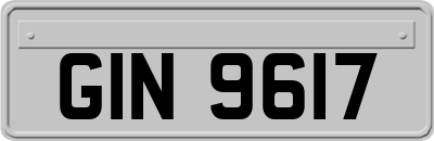 GIN9617