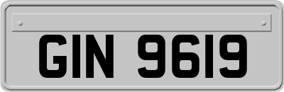 GIN9619